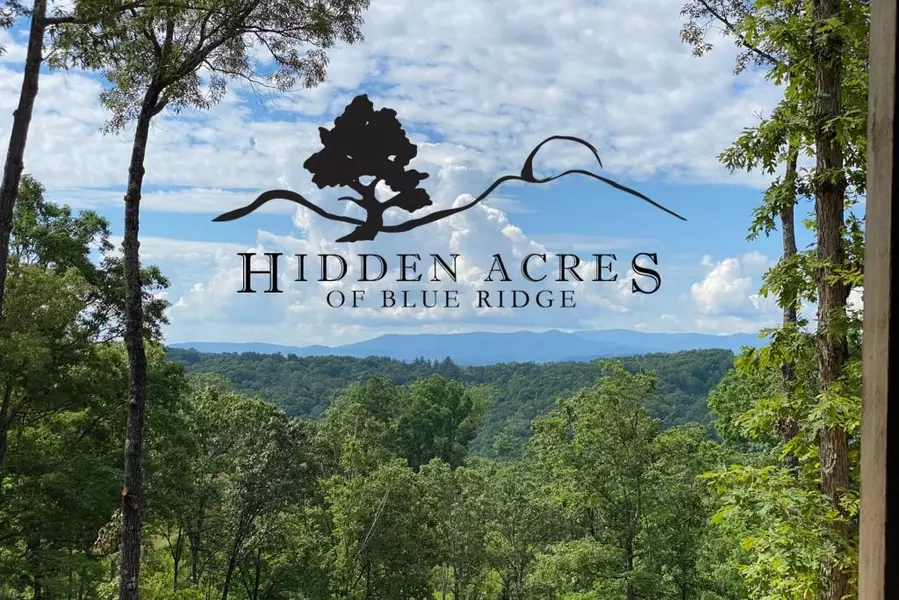 Lot 4 Hidden Acres, Blue Ridge, GA 30513