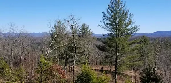 Blue Ridge, GA 30513,Lot 4 Hidden Acres