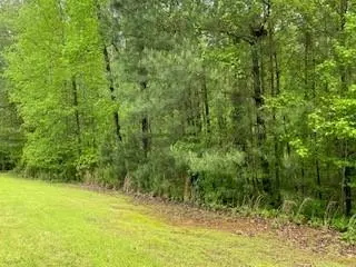 0 reed creek 2 tract N, Hartwell, GA 30643