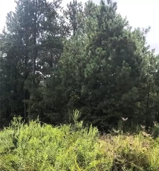 Lot 71 Pine Valley RD, Adairsville, GA 30103