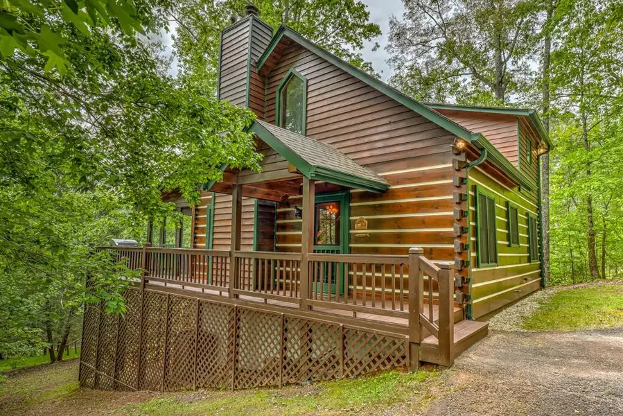 244 Cedar Ridge RD, Cherry Log, GA 30522