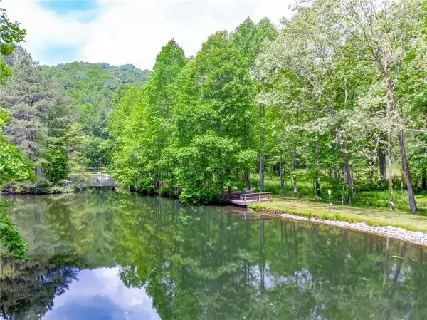 Cherry Log, GA 30522,151 Olivers Pond RD