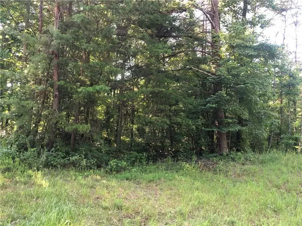 Jasper, GA 30143,Lot 34 Henderson Mountain RD