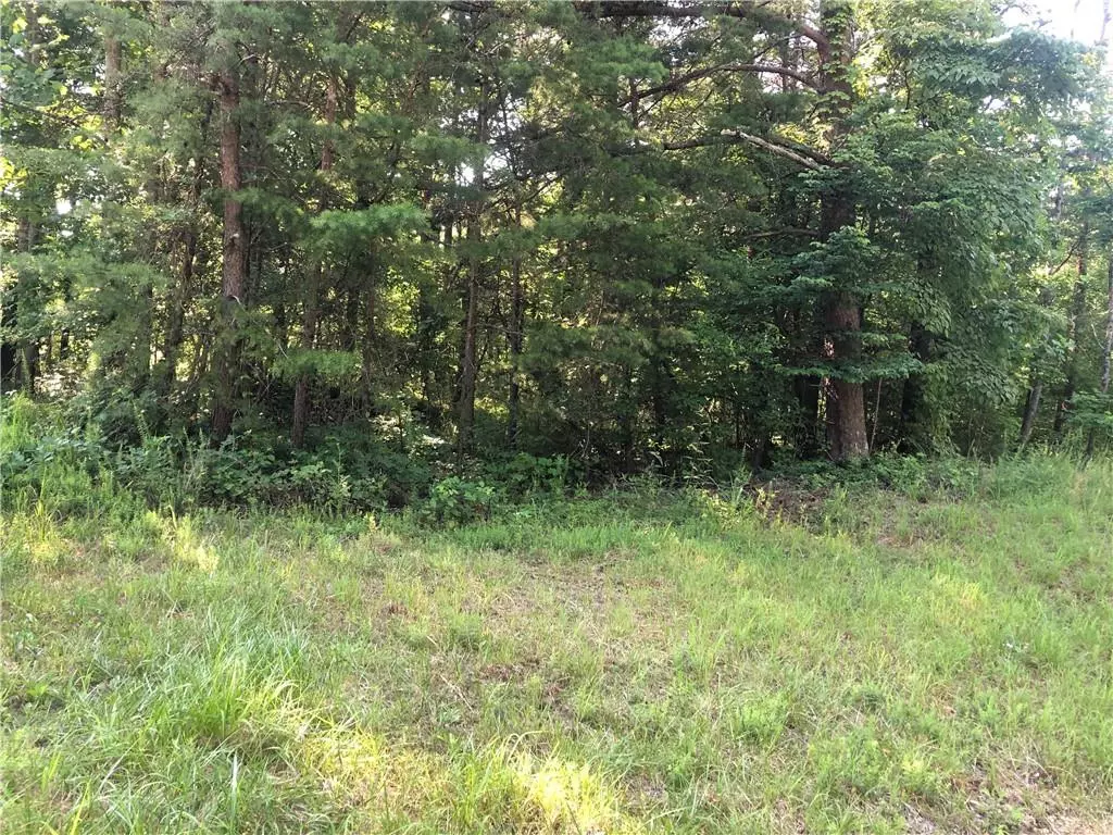 Jasper, GA 30143,Lot 34 Henderson Mountain RD