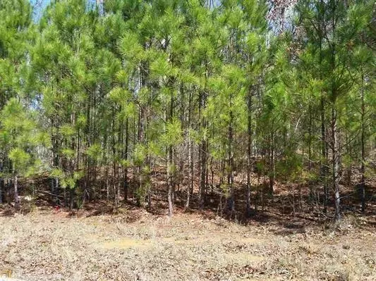 Dallas, GA 30157,Lot 1 Shawnee TRL