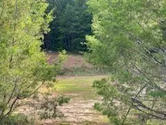 Ball Ground, GA 30107,341 TURKEY CREEK DR