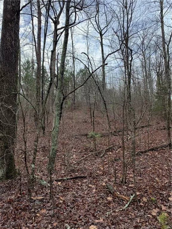 00 Flowery Branch Rd., Kingston, GA 30145