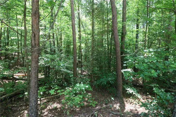 Ranger, GA 30734,0 E Cochran RD