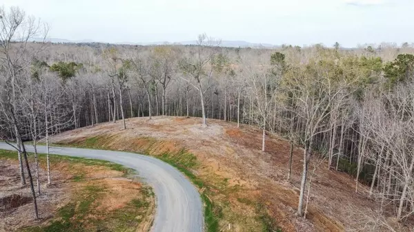 Ellijay, GA 30540,0 High River