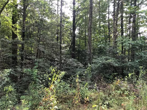 Ellijay, GA 30540,Lot 39 Meadowbrook LN