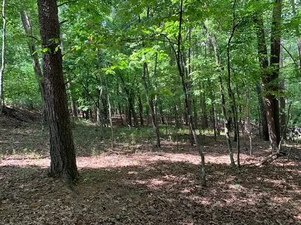 Dahlonega, GA 30533,LOT 18 Crown Mountain WAY