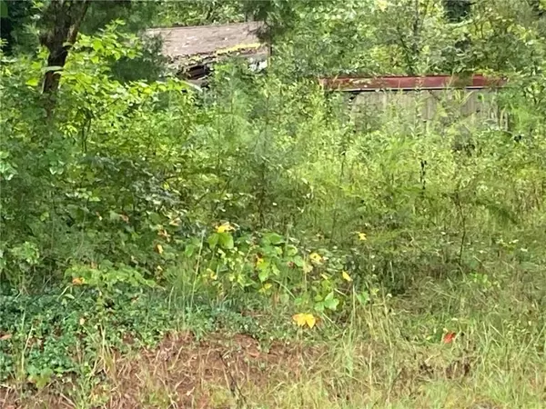 Acworth, GA 30102,6290 Woodstock RD