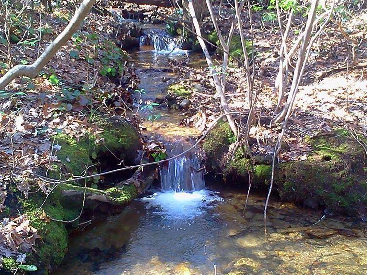 0 Cold Stream TRL, Jasper, GA 30143