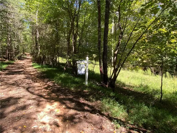 Ball Ground, GA 30107,Lot 4 Mineral Springs RD