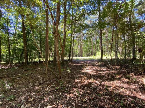 Lot 18 Mineral Springs RD, Ball Ground, GA 30107