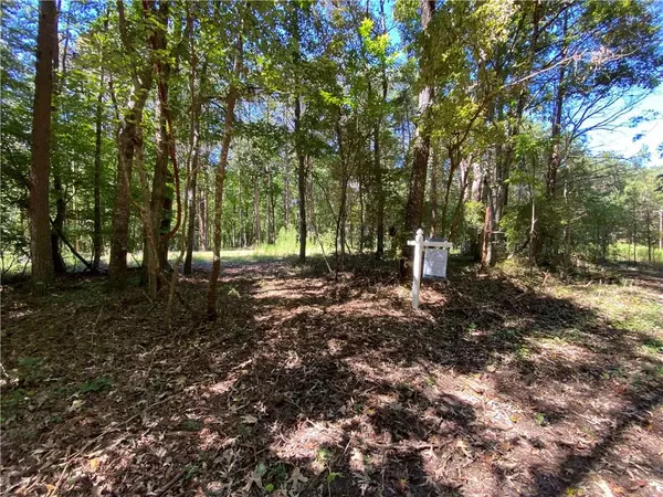 Ball Ground, GA 30107,Lot 18 Mineral Springs RD