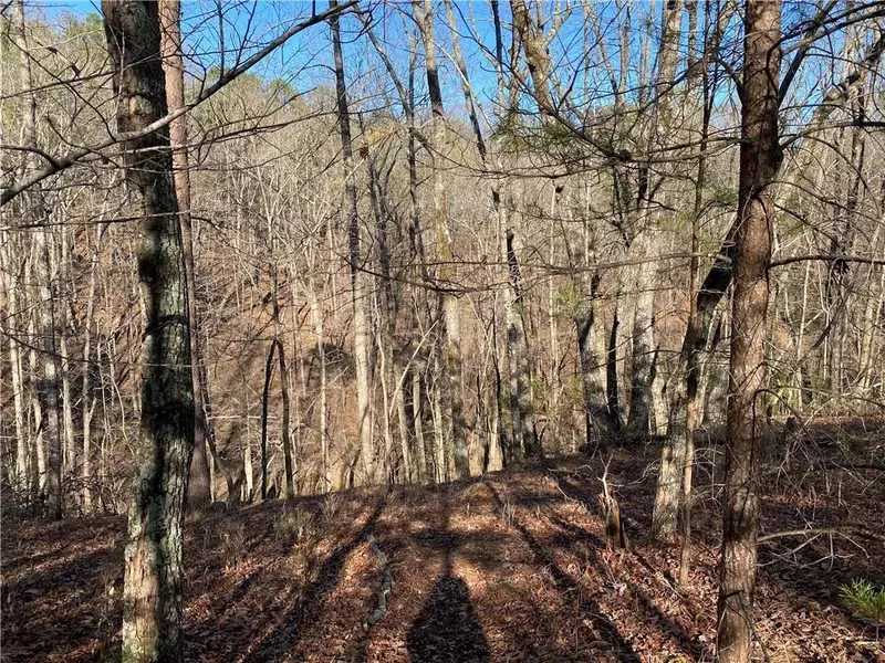 65 Placer Mining RD, Dahlonega, GA 30533