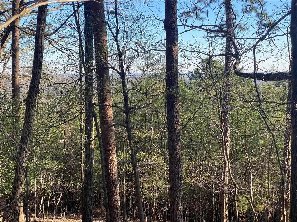 Dahlonega, GA 30533,2 Crown Mountain RDG