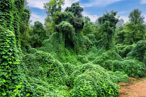 Maysville, GA 30558,475 Hembree RD