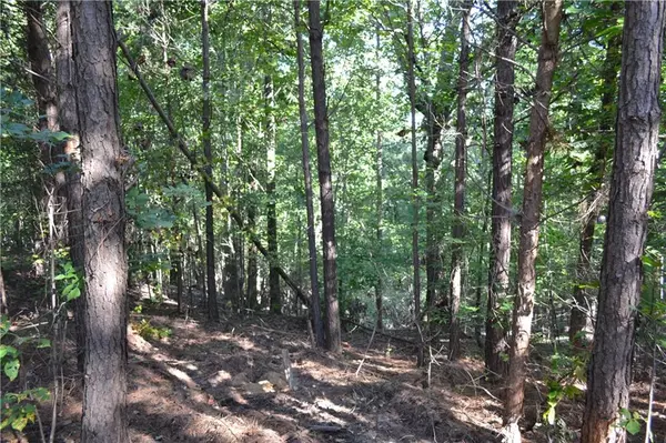 Braswell, GA 30153,00001 Brushy Mountain Road