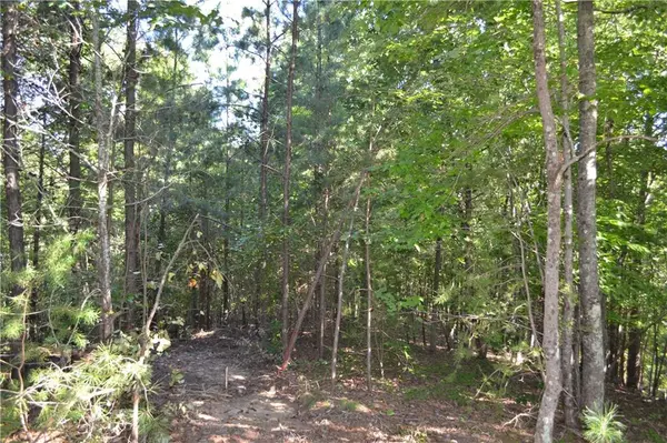 Braswell, GA 30153,00003 Brushy Mountain RD