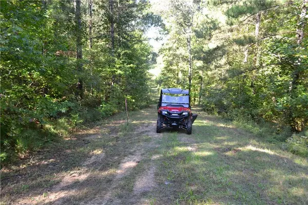 Braswell, GA 30153,00006 Brushy Mountain Road