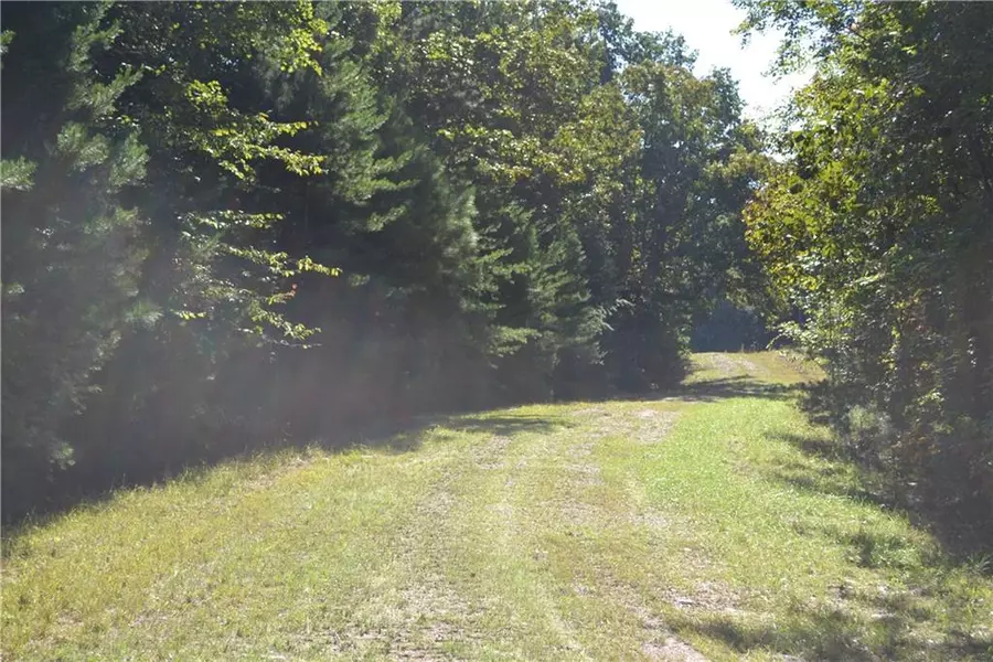 00006 Brushy Mountain Road, Braswell, GA 30153