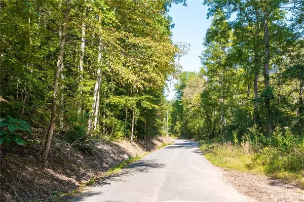 Ball Ground, GA 30107,Lot 6 Mineral Springs RD