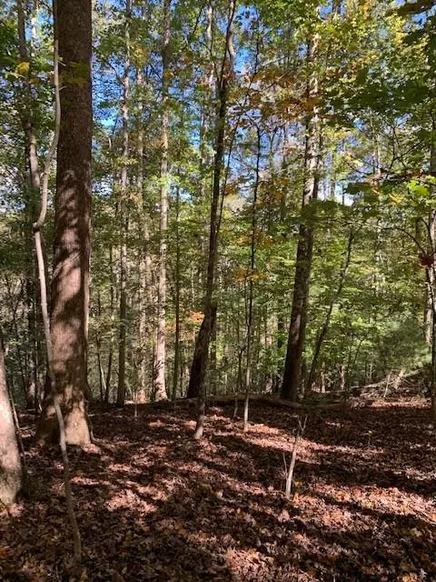 Dahlonega, GA 30533,Lot 95 Pine TRL