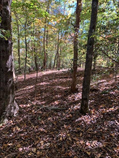 Lot 3 Pine TRL, Dahlonega, GA 30533