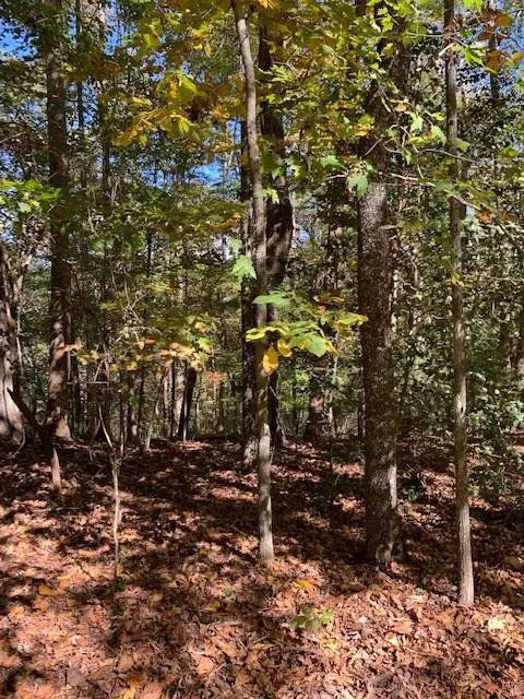 Dahlonega, GA 30533,Lot 4 Pine TRL