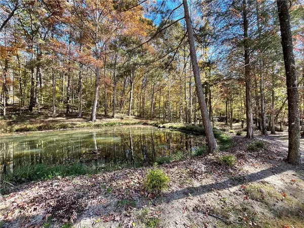 115 Annie Chandler TRL, Lawrenceville, GA 30045