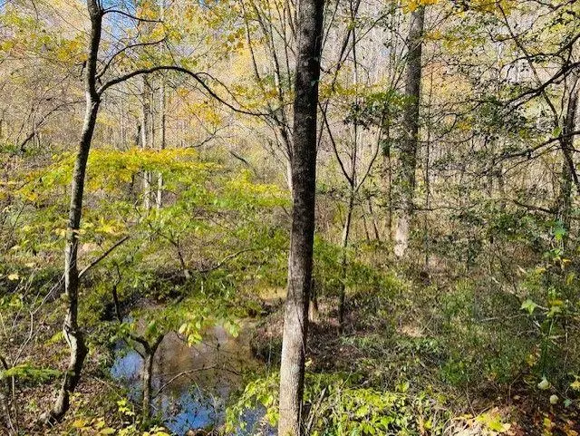 Ellijay, GA 30540,0 Delta Lot275 DR