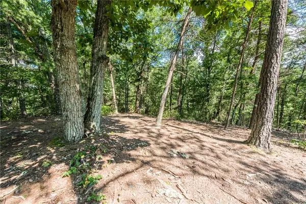 Talking Rock, GA 30175,Lot 20 Meadowlands DR