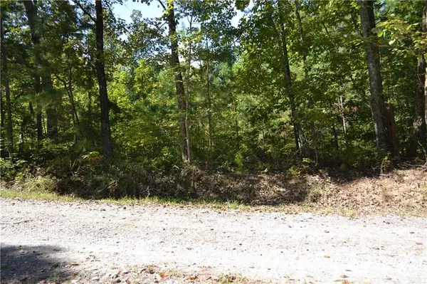 Braswell, GA 30153,000011 Brushy Mountain Road