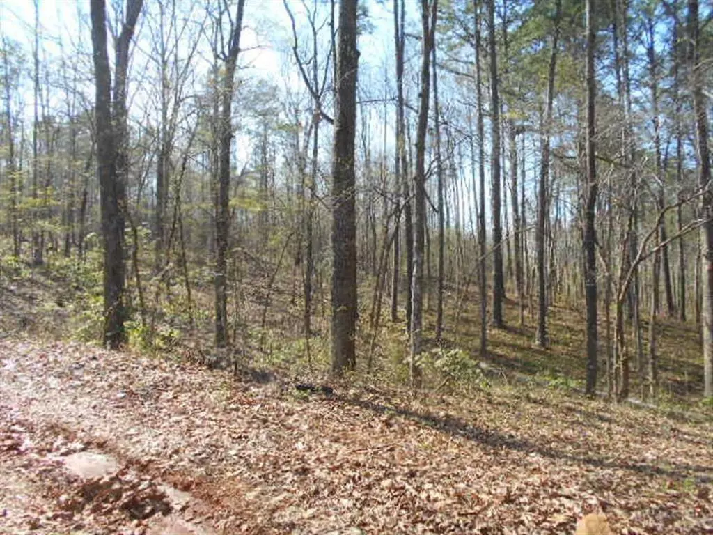 Hiram, GA 30141,00 Tract II, Nebo RD