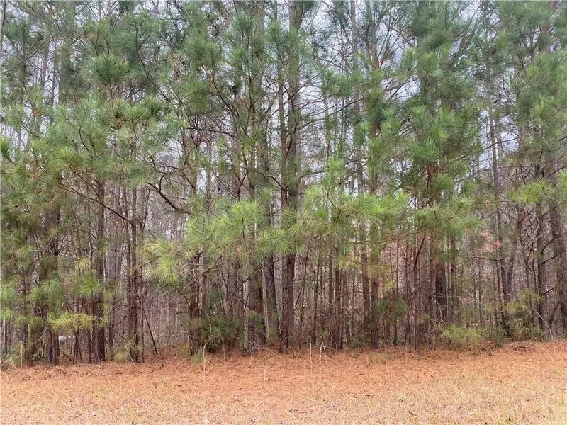 Lot 32 Wynchester Station, Dallas, GA 30157