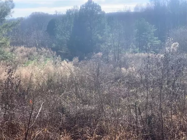 Gainesville, GA 30507,0 Gaines Mill RD