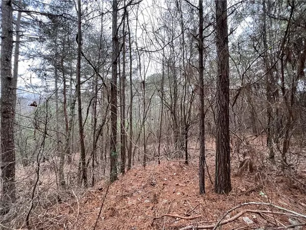 Maysville, GA 30558,132 Deer RUN