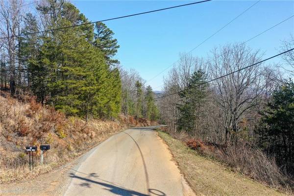 0 Flagpole RD, Ellijay, GA 30540