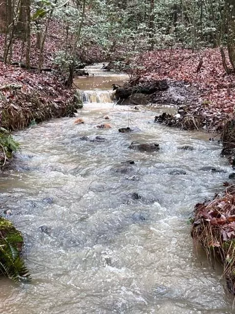 Dahlonega, GA 30533,A7-A Fireside River Trace West