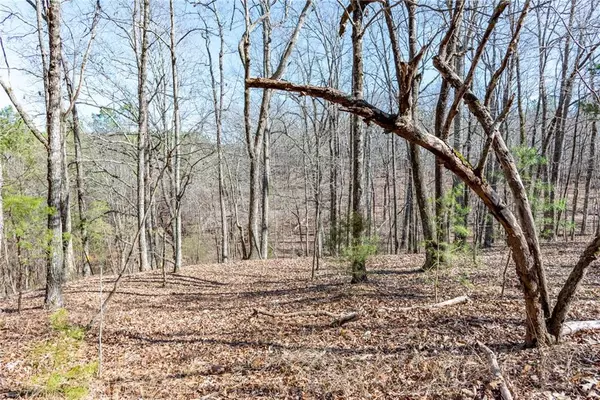 Adairsville, GA 30105,Lot 1 Snow Springs Road