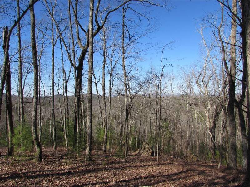 976 Raccoon RDG NE, Ranger, GA 30734