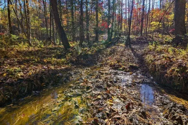 Ball Ground, GA 30107,2445 Soap Creek Road