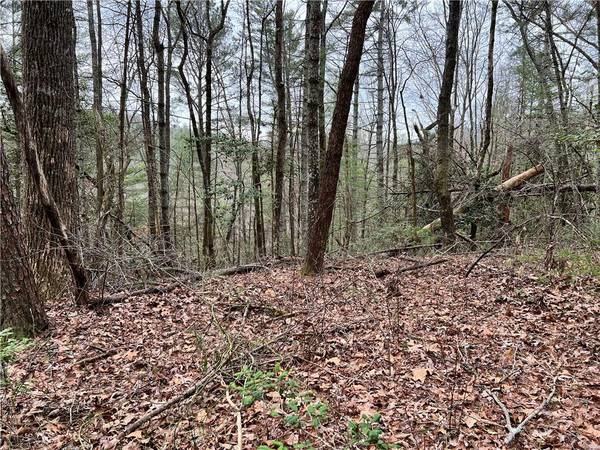 Lot 43 Bates DR, Ellijay, GA 30540