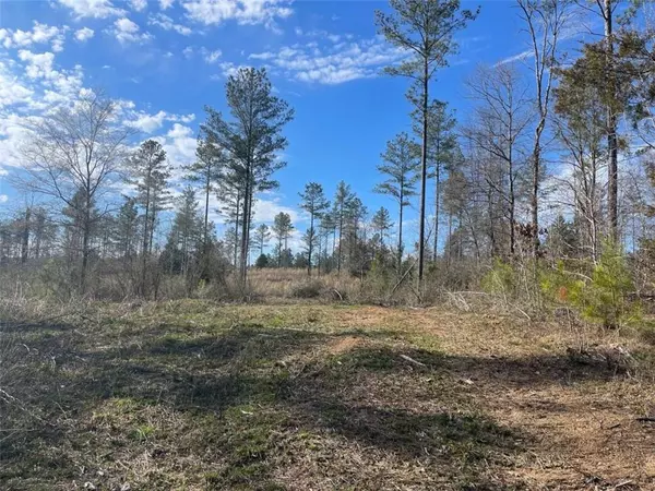 Cedartown, GA 30125,0 Akes Station Road