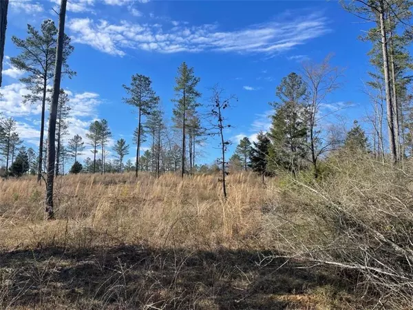 Cedartown, GA 30125,0 Akes Station Road