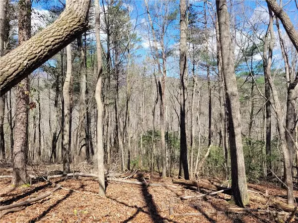 Ellijay, GA 30536,Lt 5,6 Mountain Laurel DR