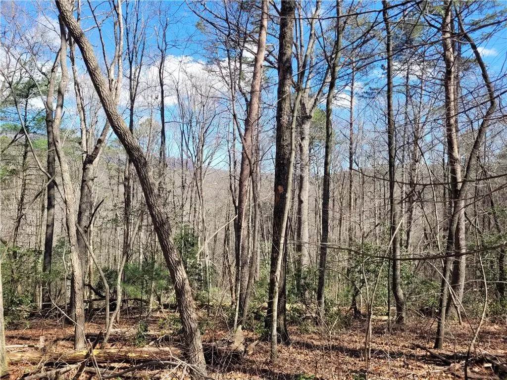 Ellijay, GA 30536,Lt 5,6 Mountain Laurel DR