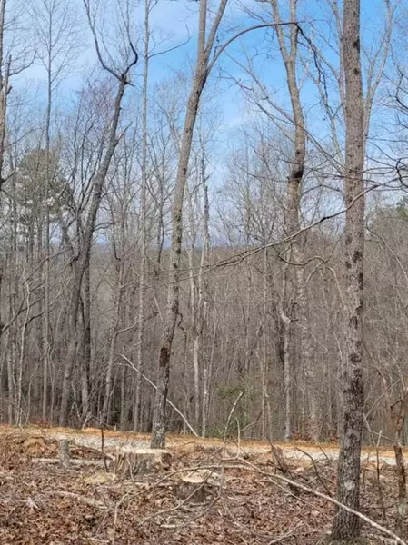 Lot 3 Etowah River Estates, Dahlonega, GA 30533